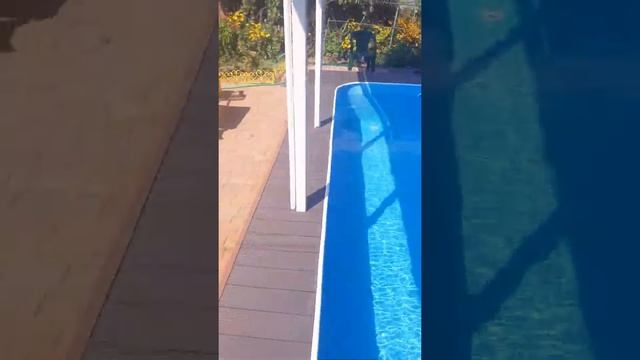 Бассейн из полипропилена. смотреть онлайн