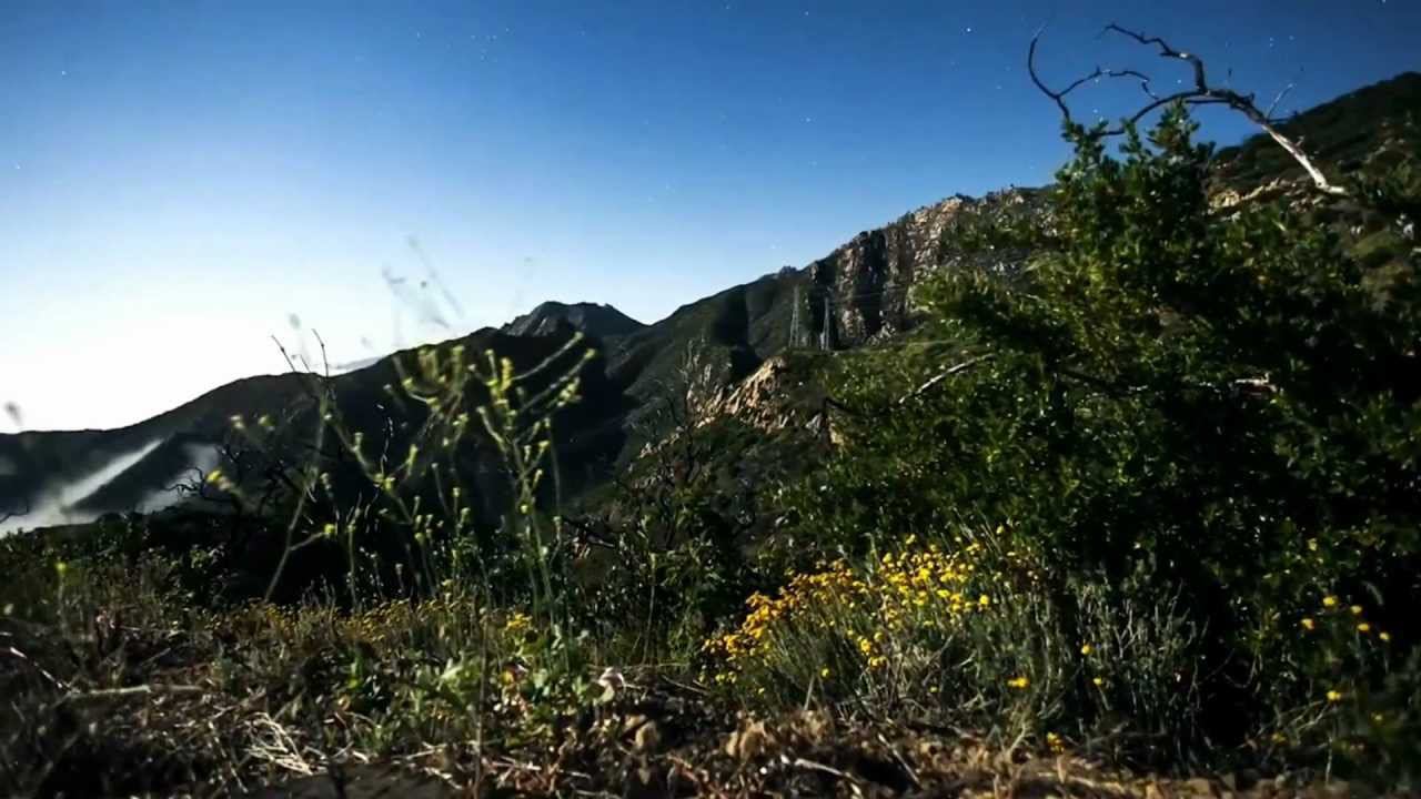 The Verve "Bitter sweet symphony" (Nero and Veronica Alex remix) смотреть онлайн