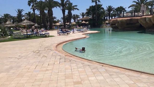 Sentido Phenicia 4*,Тунис, Хаммамет. Обзор отеля/ смотреть онлайн