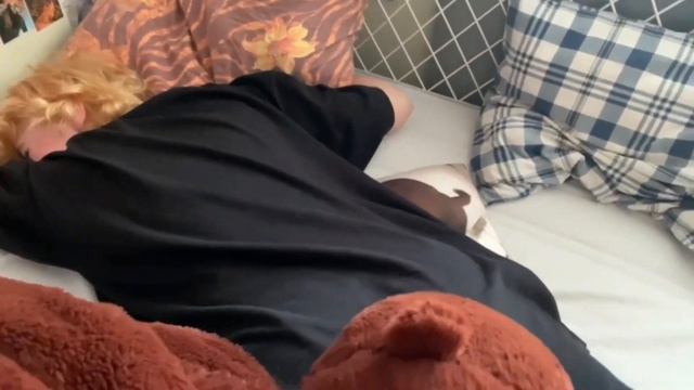 Порна. Выпуск 666