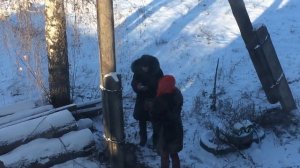 В поисках закладки