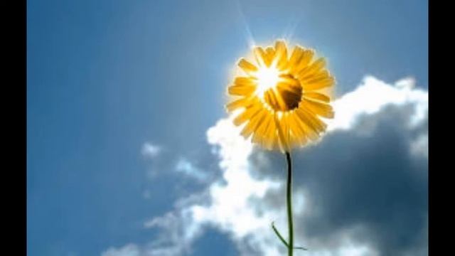 Рей Бредбери. 