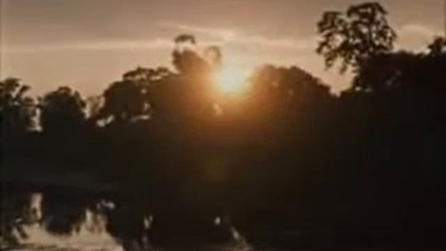 Слепой музыкант смотреть онлайн