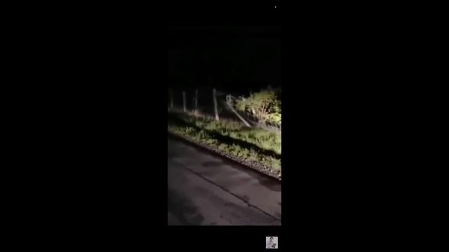 6 ВИДЕО КОТОРЫЕ НЕ СТОИТ СМОТРЕТЬ В ОДИНОЧКУ смотреть онлайн