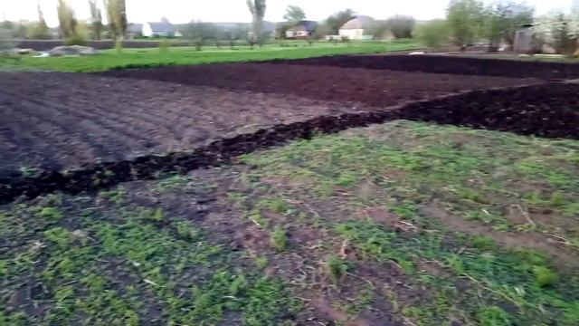 Фрезеровка почвы мотоблоком Зубр смотреть онлайн