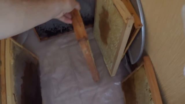 Как скачать МЁД Зимой \\ Качаем Мёд в Январе // смотреть онлайн