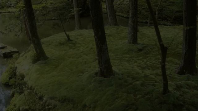 the moss [slowed] смотреть онлайн