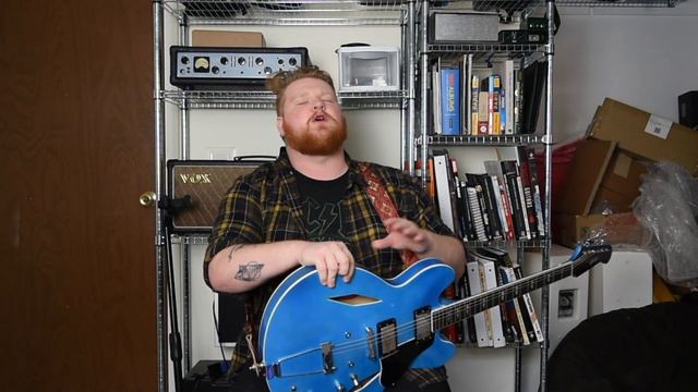 The Story of My Gibson DG-335 смотреть онлайн