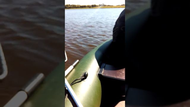 Сом под Питером ! смотреть онлайн