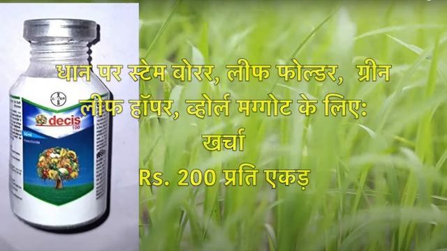 Bayer Decis 100 Complete Information | World Of Agro | Insecticide | Cotton | Paddy | Onion | Tomat