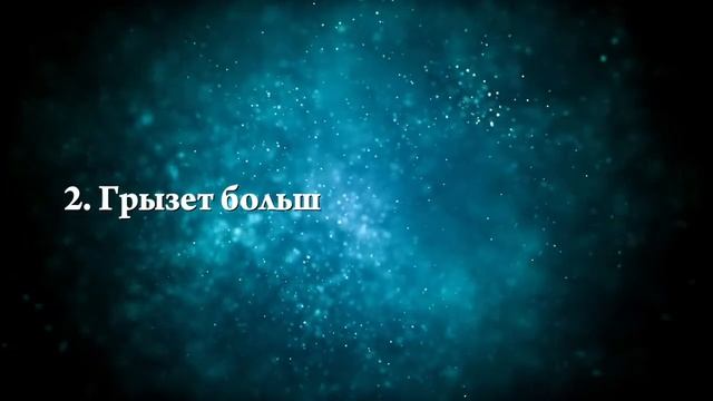 К чему снится белый щенок - Онлайн Сонник Эксперт смотреть онлайн