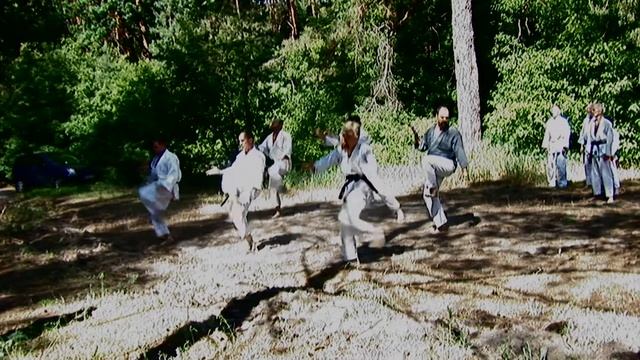 Сайфа (исп. молодежь). 37-й экзамен по каратэ. Харьков-2017 Karate смотреть онлайн