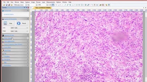 Microscope Camera Software - Getting Started Part 1