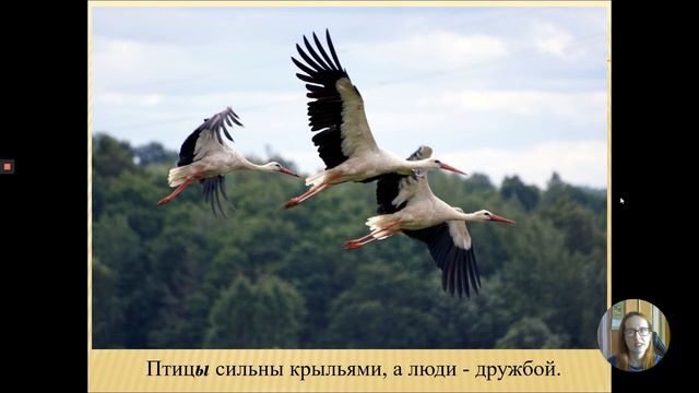 Урок 3 Русский язык смотреть онлайн