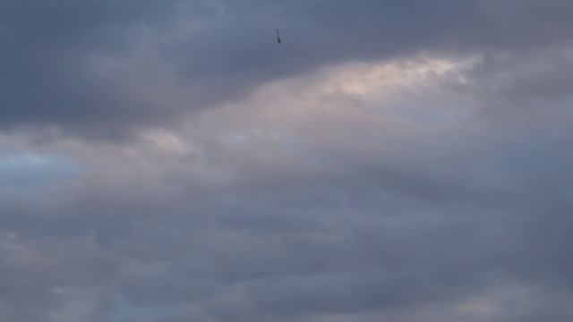 MCG Kim T-Rex600EFL 3GX FBL Pro SetUp Flight2 2011-10-29 FullHD1080p.mp4 смотреть онлайн