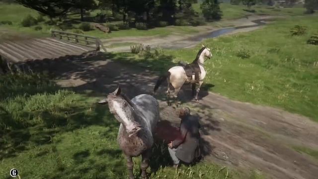 Horse Falls and Crashes Euphoria Ragdolls RDR2 PC Mods part 7 смотреть онлайн