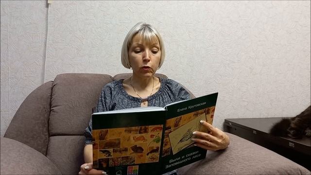 Были и сказки заповедного леса смотреть онлайн