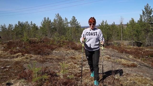 тренировка с палками для скандинавской ходьбы смотреть онлайн