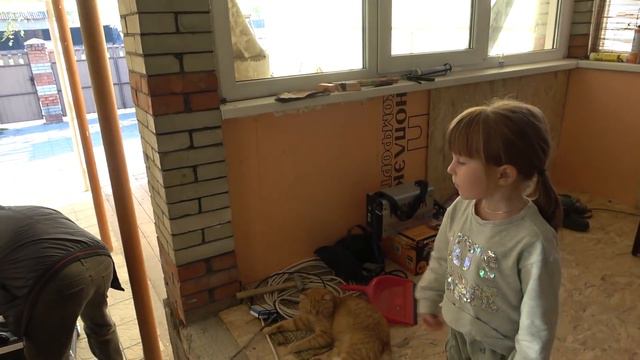 Опека ждёт возле дома, а мы в городе. 22.10.21. смотреть онлайн