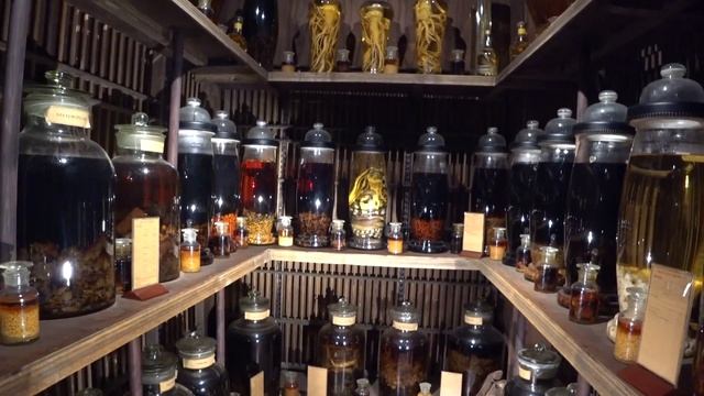 Вьетнам. Хошимин. Чуть не Ограбили в Сайгоне. Своим Ходом в Туннели Ку Чи. Особенности Жизни. Цены смотреть онлайн