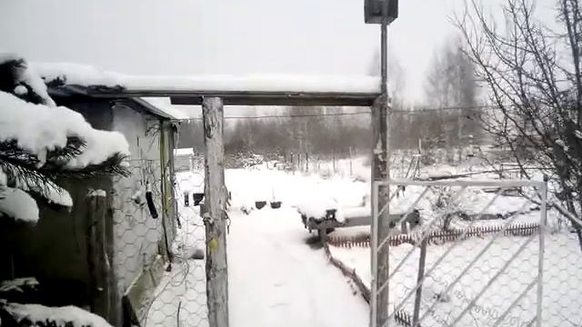 зимний лес на даче смотреть онлайн