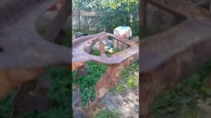 Ремонт компрессора подвески Прадо 120