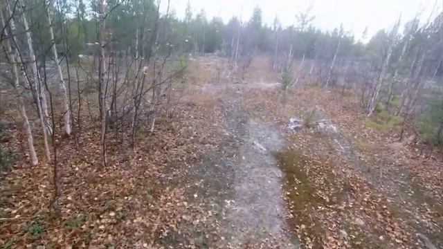 Медведица с пестунами. Выезд за 120 км. Поиски. смотреть онлайн