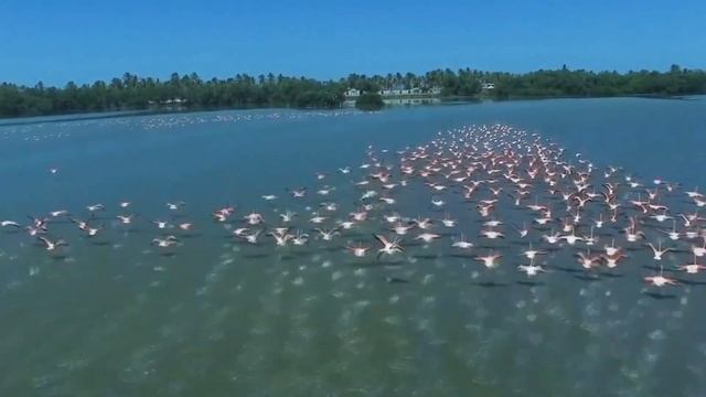 ❌ВСЕ ЧТО ВАМ НУЖНО ЗНАТЬ ОТПРАВЛЯЯСЬ В ВЕНЕСУЭЛУ ?? смотреть онлайн