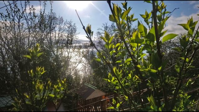 клип весна 2022 на берегу моря - сочи, лазаревское, природа лес цветы .mp4 смотреть онлайн