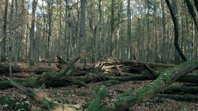 Национальное агентство по туризму в Беларуси
