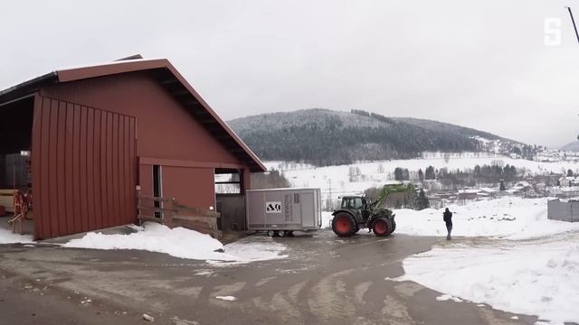 Mobile Schlachtung für mehr Tierwohl: Bis zur letzten Sekunde im eigenen Stall | DER SPIEGEL смотреть онлайн