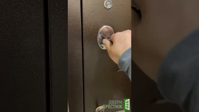 Входная дверь Йошкар Ола Альт Зеркало Белый матовый смотреть онлайн