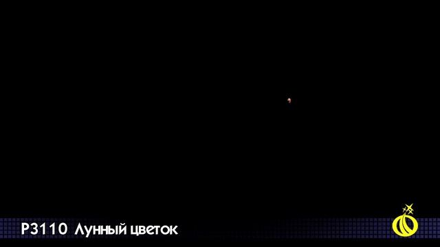ЛУННЫЙ ЦВЕТОК P3110 смотреть онлайн
