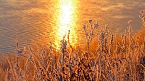 Жить хочу так Музыка исполн-е Николай Курочкин Слова фото монтаж Анна Опарина