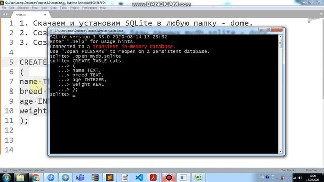 SQLite - 1 - установка, создание БД и простой таблицы с данными смотреть онлайн