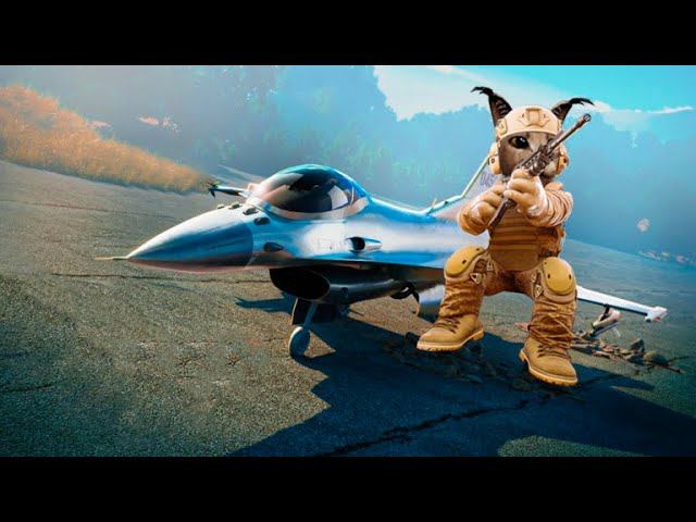 ОБЗОР НА ЛУЧШИЙ САМОЛЕТ F16 | ROBLOX WAR TYCOON!