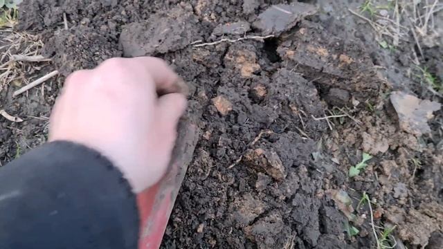Коп в огороде с Nokta macro legend! смотреть онлайн
