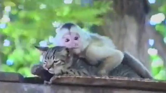 СЕГОДНЯ МЫ С ТОБОЙ КАЙФУЕМ!!!