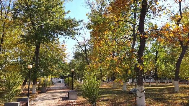 Осенний парк. Выселки. смотреть онлайн