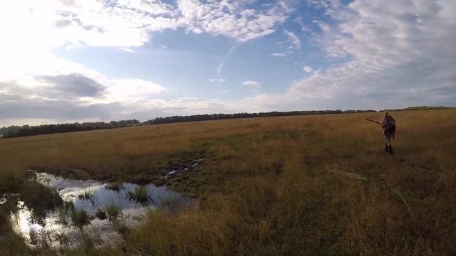 Охота из под собаки на болотно-луговую дичь (25.07.2020-26.07.2020) смотреть онлайн
