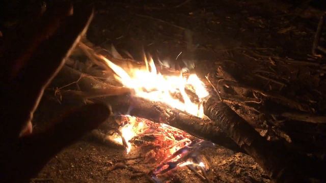 Survival training: overnight minimal gear pt2, a great night in the woods смотреть онлайн