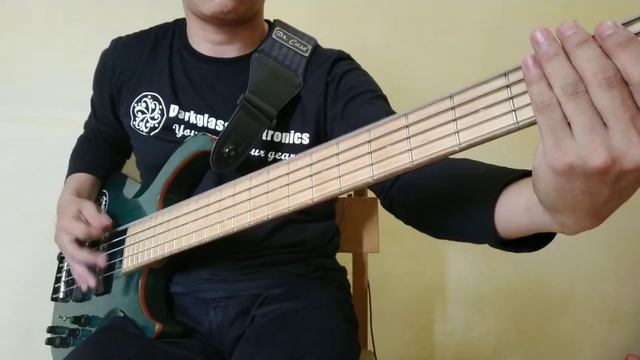 Solway Firth - Slipknot | Bass cover смотреть онлайн