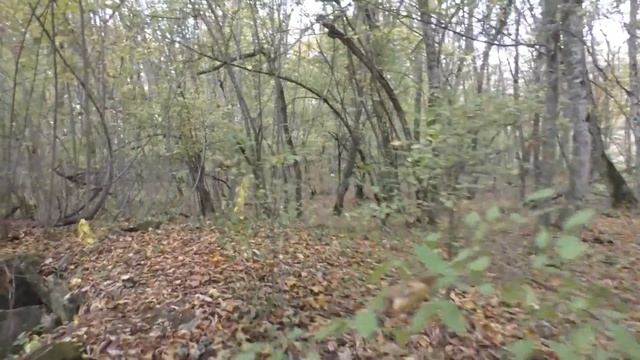 ОСЕНЬ В ГОРАХ АДЫГЕИ. ДОЛЬМЕНЫ. смотреть онлайн