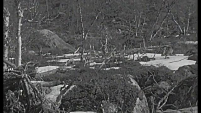 Trip to Petsamo och Liinahamari 1931 смотреть онлайн