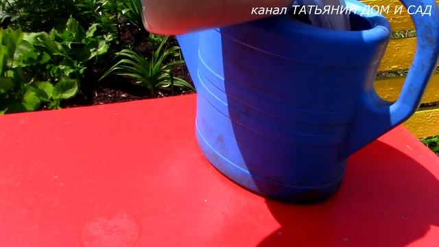 КЛЕМАТИС уход смотреть онлайн