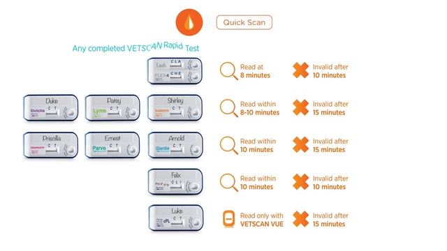 VETSCAN VUE Demonstration Video смотреть онлайн