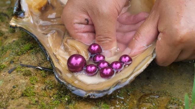 I awakened the pearl clam that had been sleeping for a hundred years, and it brought me great wealt смотреть онлайн
