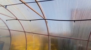 Полив Туман для теплицы. Урожай-туман или система полива Elgo Израиль? Установка, опыт использовани