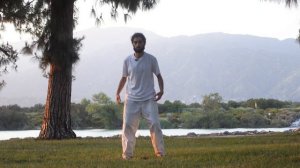 Цигун перед СНОМ | Вечерний комплекс 15 минут