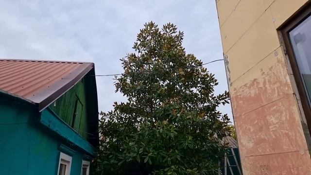 ОБРАЩЕНИЕ К ЖИТЕЛЯМ КРАСНОДАРСКОГО КРАЯ И РОСТОВСКОЙ ОБЛАСТИ смотреть онлайн